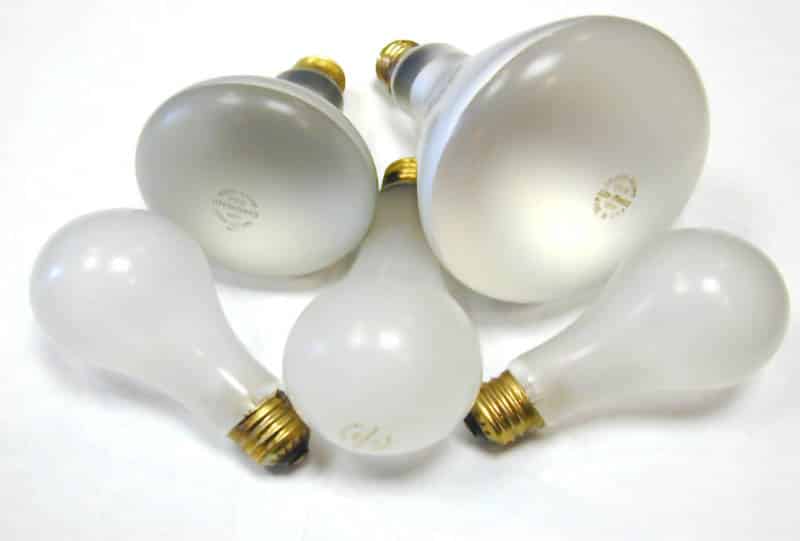 Coated light bulbs