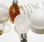 Light bulbs of various sizes