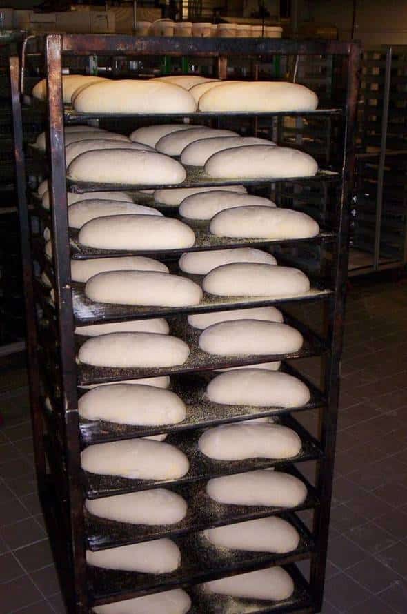 Bread proofing on trays